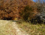 In wilder, naturbelassener Umgebung